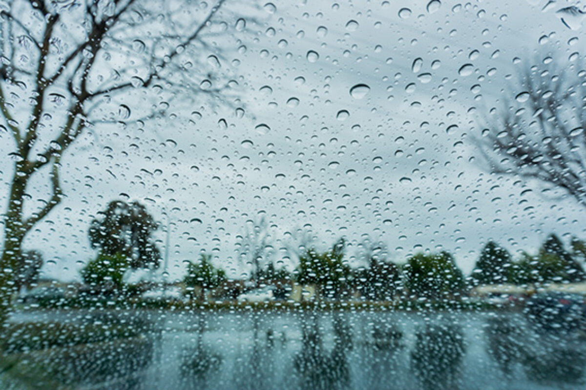 Drops of rain on the window; blurred trees in the background; shallow depth of field